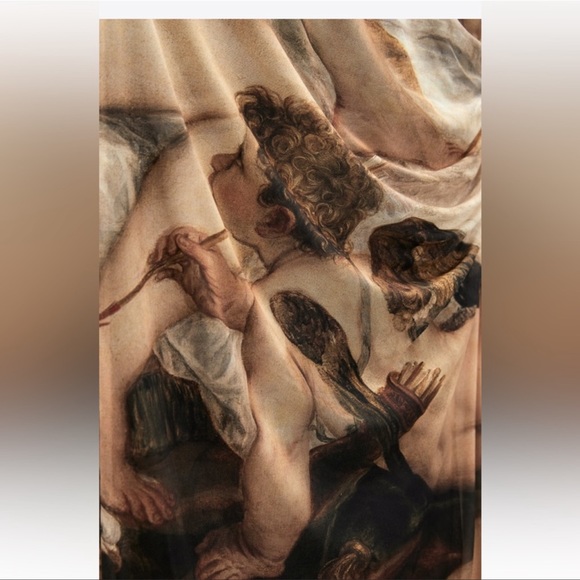 ZARA BLOGGERS FAV PRINTED TULLE SKIRT - Picture 6 of 7